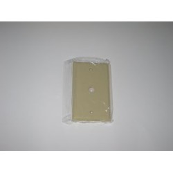 Wall Plate